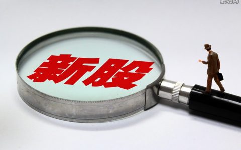 特斯拉期货直播